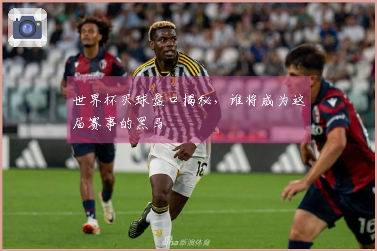世界杯买球盘口揭秘，谁将成为这届赛事的黑马