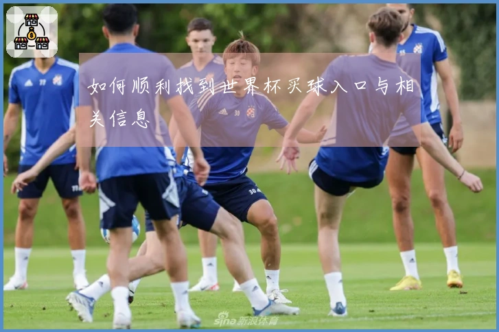 如何顺利找到世界杯买球入口与相关信息