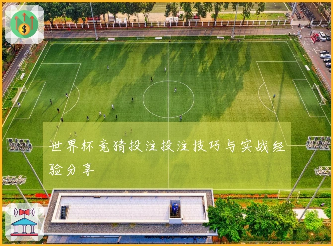 世界杯竞猜投注投注技巧与实战经验分享