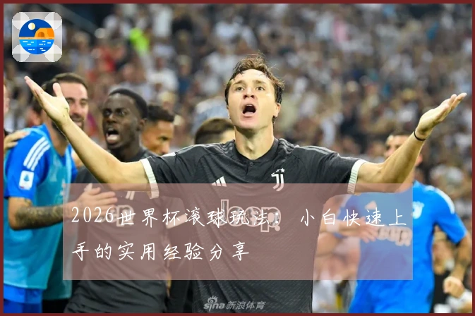 2026世界杯滚球玩法：小白快速上手的实用经验分享