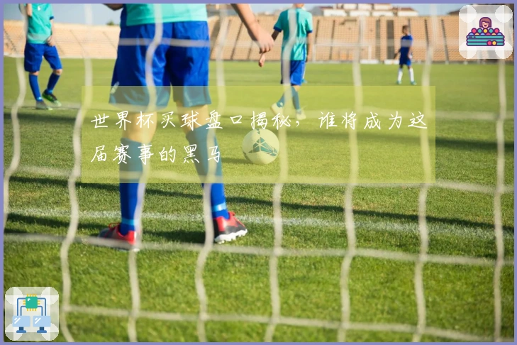 世界杯买球盘口揭秘，谁将成为这届赛事的黑马