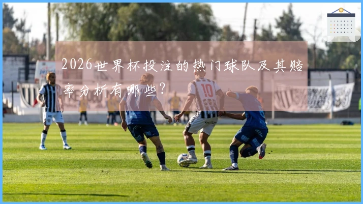 2026世界杯投注的热门球队及其赔率分析有哪些？