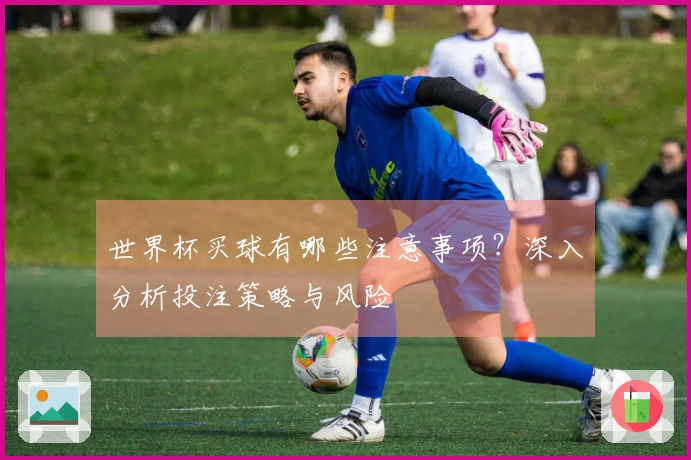 世界杯买球有哪些注意事项？深入分析投注策略与风险
