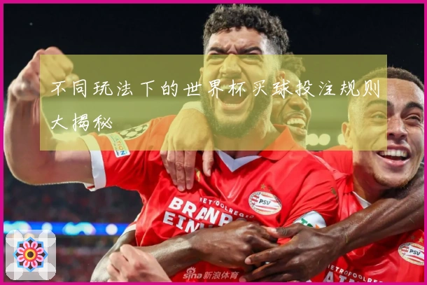 不同玩法下的世界杯买球投注规则大揭秘