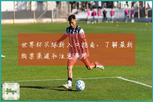 世界杯买球新入口指南，了解最新购票渠道和注意事项