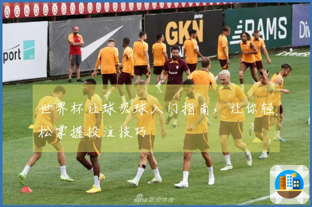 世界杯让球买球入门指南，让你轻松掌握投注技巧